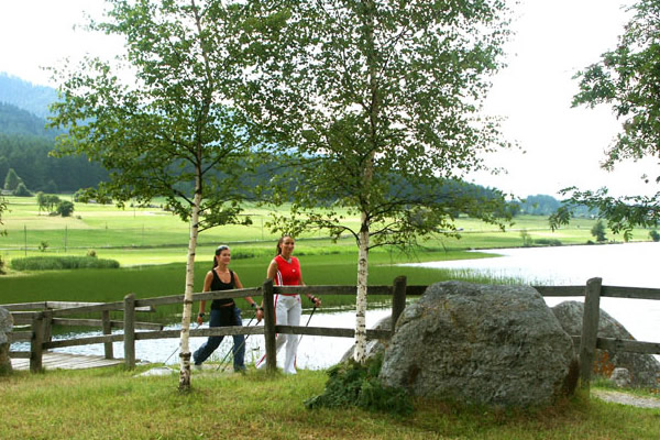 Nordic Walking am Haidersee - unzählige Touren sorgen für Abwechslung in der Natur